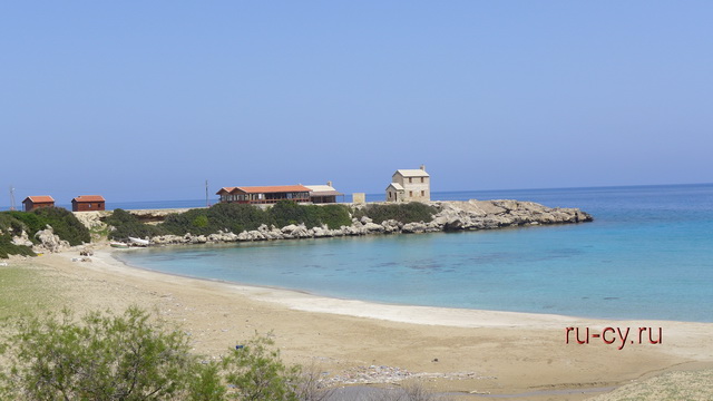 пляж с черепахами на Кипре